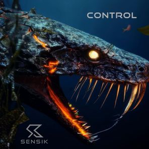 Sensik – Control