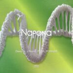 Deep7s, PAUL PARKER – Napona