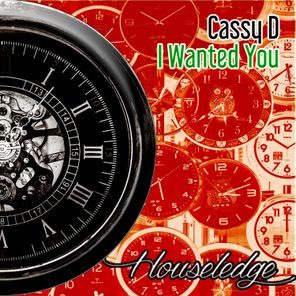 Nu Ground Foundation, Cassy D – I Wanted You