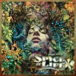 Dial, Pragmatix – Spice of Life (Selected by Rie)