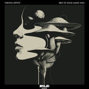 Artur Achziger, Maksim Dark – Best of Solid Audio 2025