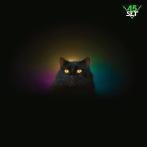Harmony Loop – Black Cat Deep