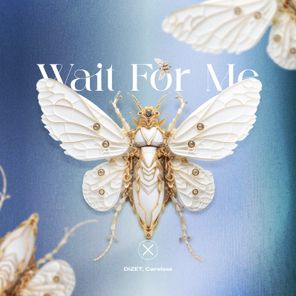 DIZET, Careless – Wait for Me