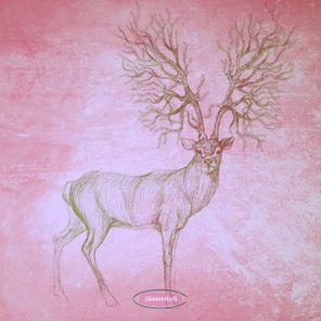 Christian Hornbostel, Dan Rubell – Upcoming Challenges