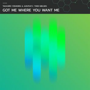 Takahiro Yoshihira, C. Todd Nielsen – Got Me Where You Want Me