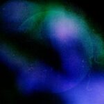 9893307b 4d7e 497c a9f8 1666208f473d