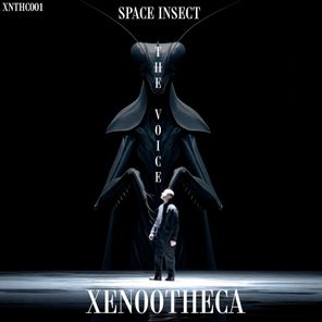 Space Insect – The Voice