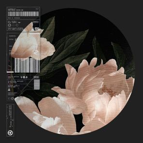 Danny Sbert – Serious Grooves