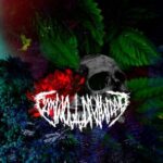 Ale Valenzuela, Mikrötide – Camino a La Divinidad