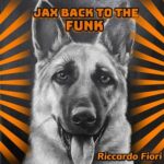 Riccardo Fiori – Jax to the Funk (Extended Mix)