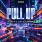 Fabian Farell, DJ Gollum – Pull Up