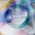 Vektor – Thorax