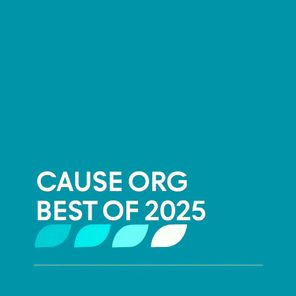 Carlos Pires, Alain – Cause Org Best Of 2025