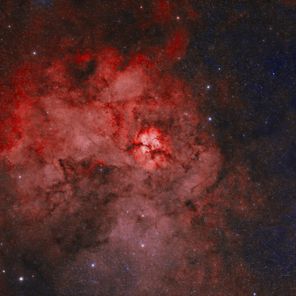 PWCCA, Vanina Buniak – Mutable Minds XI