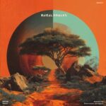 Alvaro Suarez, Betelgeize – Amani