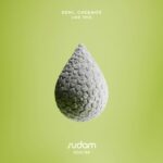 KRIVDA, Che&Mos – Like This