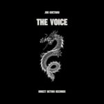Jon Guetano – The Voice