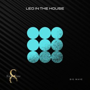 Leo In The House – Big Wave