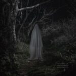 DCM (SP), JDØTS – Tenebris VII