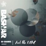 Bashar – Feel the Vibe