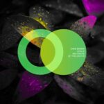 Leville, mia coolpa – Let the Light In