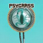 The Great Medicine Show, Mycelial – Psygrass