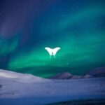 Vasilis, Raise (ofc) – Alive EP