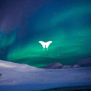 Vasilis, Raise (ofc) – Alive EP