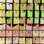 Zoo Brazil, Monuloku – Best of 2025