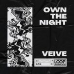 Veive – Own The Night