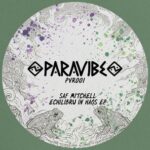 Saf Mitchell – Echilibru In Haos EP