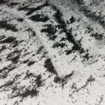 Conrad Pack – Vertical Hold