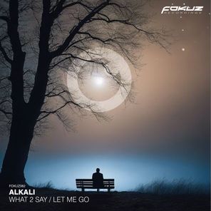 Alkali. – What 2 Say / Let Me Go