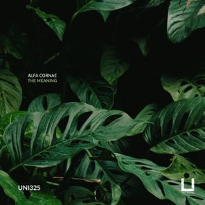 Alfa Cornae – The Meaning