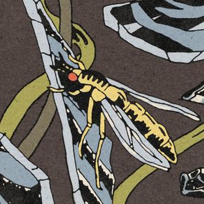 Janus Rasmussen – Murk