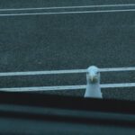 dcef1865 73c4 49ac bd03 21f2f9a628e5