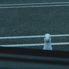 Little by Little, Sav-E – Proper Hammering