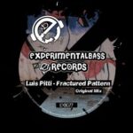 Luis Pitti – Fractured Pattern
