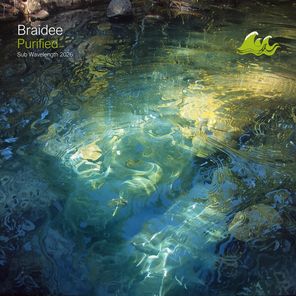 Braidee – Purified