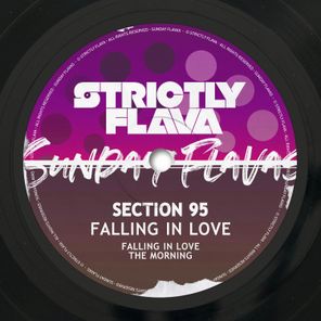 Section 95 – Falling in Love & the Morning