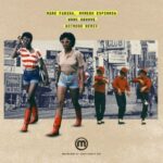 Hotmood, Mark Farina – Work.Groove (Hotmood Remix)