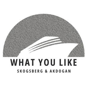 Skogsberg & Akdogan – What You Like