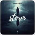 GABBEH, PTD – Storm
