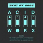 DJ Wank, dyLAB – AcidWorx Best of 2025
