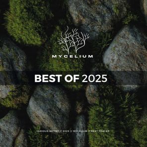 Coss Bocanegra, Jhonny LP – Best of 2025