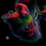 HANN;ES – Faraway