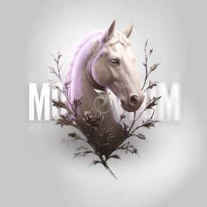 Solink, Redig – Momentum V