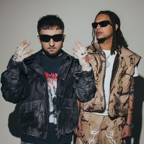 Ronnie Flex, Mr. Polska – Sneuvelnation