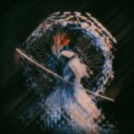 R3idy – Teapot / A444