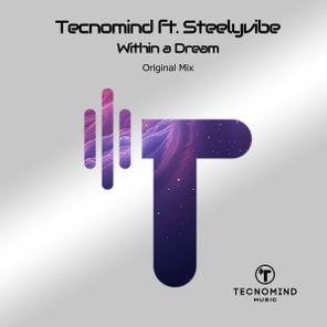 Steelyvibe, Tecnomind – Within a Dream